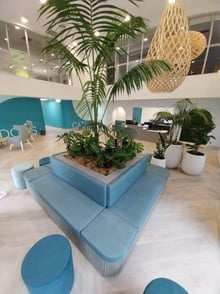 24-Hour Emergency Veterinary Care Surgery